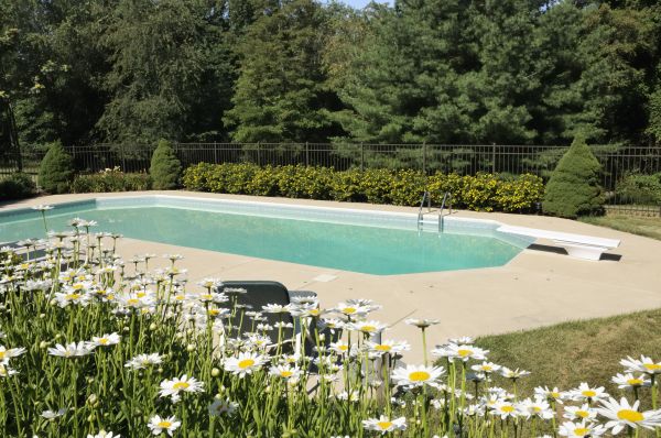Pool Deck Leveling in Vienna